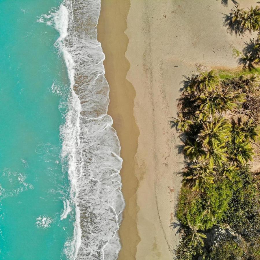 エル・ザイノ Camping Castilletes Parque Tayrona Bed & Breakfast エクステリア 写真