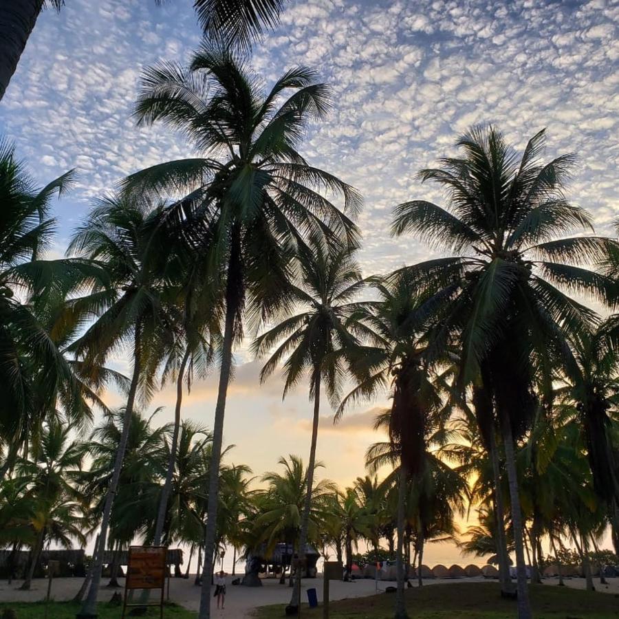 エル・ザイノ Camping Castilletes Parque Tayrona Bed & Breakfast エクステリア 写真