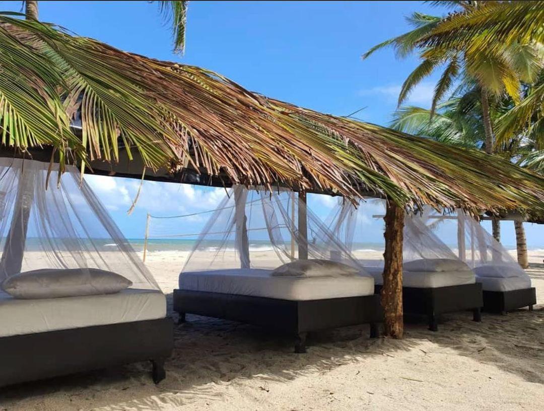 エル・ザイノ Camping Castilletes Parque Tayrona Bed & Breakfast エクステリア 写真