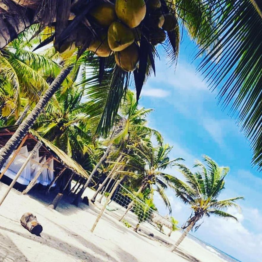 エル・ザイノ Camping Castilletes Parque Tayrona Bed & Breakfast エクステリア 写真