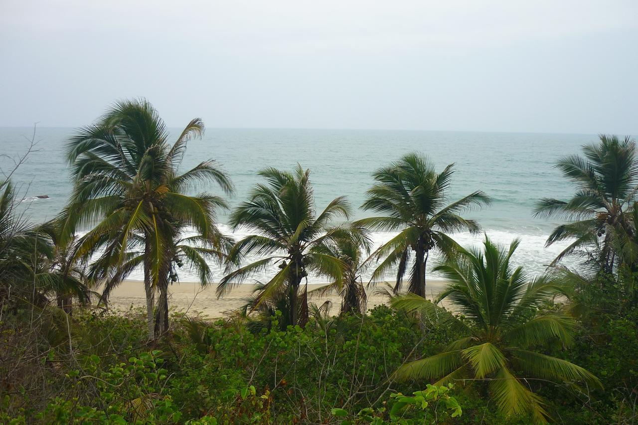エル・ザイノ Camping Castilletes Parque Tayrona Bed & Breakfast エクステリア 写真