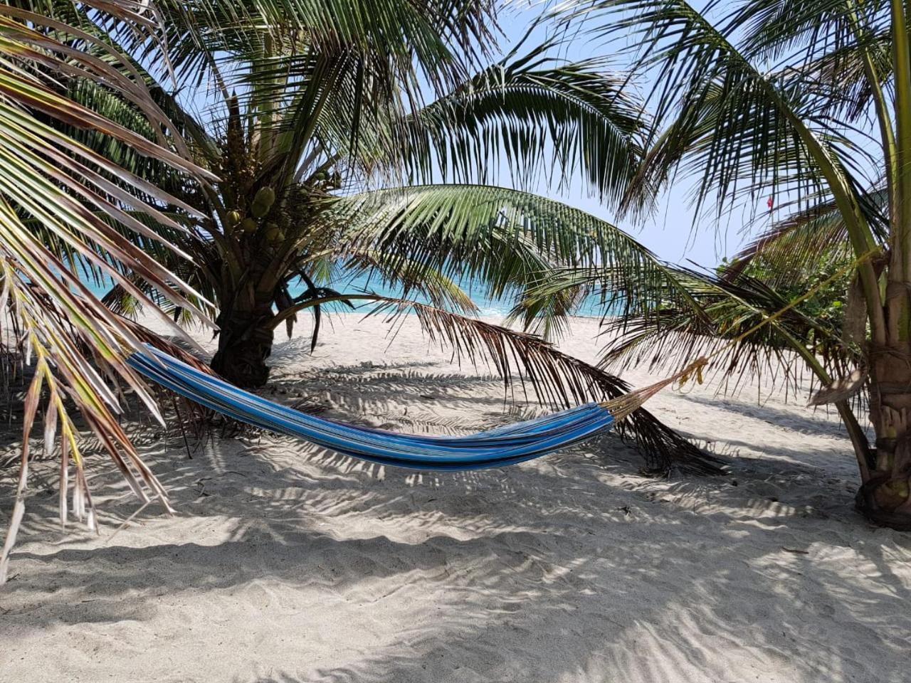 エル・ザイノ Camping Castilletes Parque Tayrona Bed & Breakfast エクステリア 写真